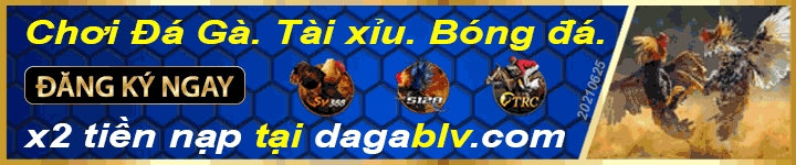 chơi đá gà trực tiếp