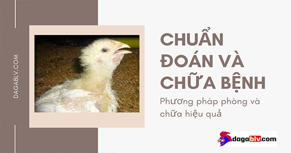 Chuẩn đoán bệnh nấm phổi tìm cách chữa hiệu quả