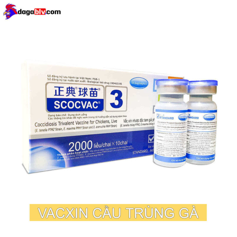 Vacxin Cầu Trùng Gà & Kiểm Soát Bệnh Cầu Trùng Gà Hiệu Quả 5 Vacxin Cầu Trùng Gà & Kiểm Soát Bệnh Cầu Trùng Gà Hiệu Quả Các loại vacxin cầu trùng gà