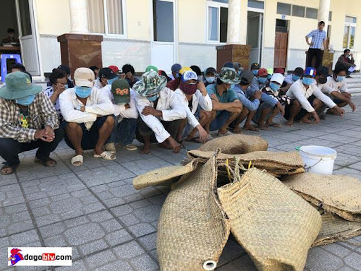 đá gà ăn tiền cà mau