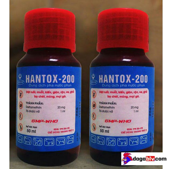 Cách diệt mạt gà bằng thuốc Hantox 200