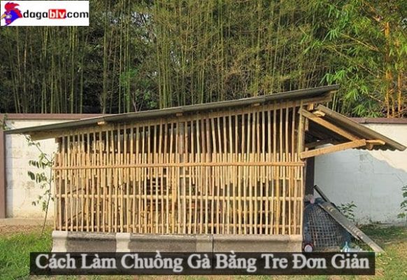 Tìm Hiểu Cách Làm Chuồng Gà Bằng Tre Đơn Giản