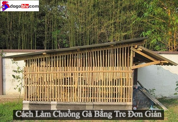 Tìm Hiểu Cách Làm Chuồng Gà Bằng Tre Cực Kỳ Đơn Giản Mà Hiệu Quả 1 Tìm Hiểu Cách Làm Chuồng Gà Bằng Tre Cực Kỳ Đơn Giản Mà Hiệu Quả Tìm Hiểu Cách Làm Chuồng Gà Bằng Tre Đơn Giản
