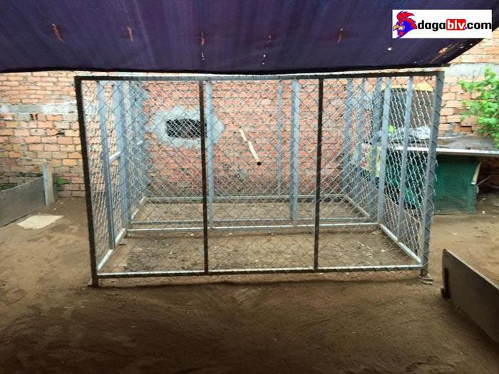 Các cách làm chuồng gà chọi đơn giản, đúng chuẩn nhất 1 Các cách làm chuồng gà chọi đơn giản, đúng chuẩn nhất Những cách làm chuồng gà chọi đơn giản dễ thực hiện