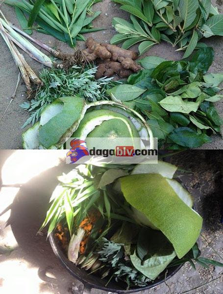 Cách om gà chọi tơ đúng kỹ thuật, đơn giản và hiệu quả 2 Cách om gà chọi tơ đúng kỹ thuật, đơn giản và hiệu quả Nguyên liệu chính trong cách om gà chọi tơ