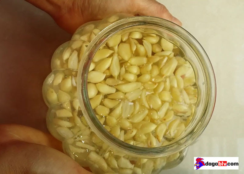 Hướng dẫn cách pha tỏi cho gà uống đúng nhất