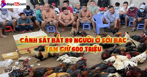 Cảnh sát bắt 89 người ở sới bạc, tạm giữ 600 triệu