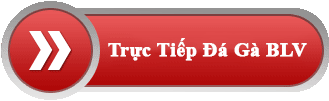 trực tiếp đá gà blv