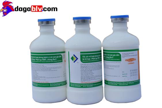 Vắc xin Cúm gia cầm
