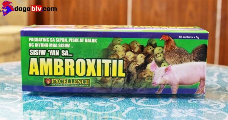 Thuốc úm gà AMBROXITIL