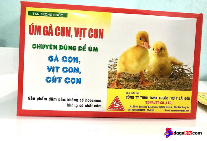 Sonavet - Cách nhỏ thuốc cho gà con

