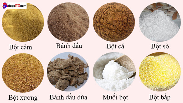 Thức ăn cho gà chọi