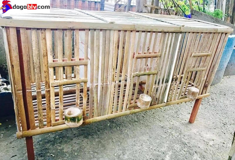 Các cách làm chuồng gà chọi đơn giản, đúng chuẩn nhất 4 Các cách làm chuồng gà chọi đơn giản, đúng chuẩn nhất Các mẫu chuồng nuôi gà đơn giản bằng tre, gỗ, nứa