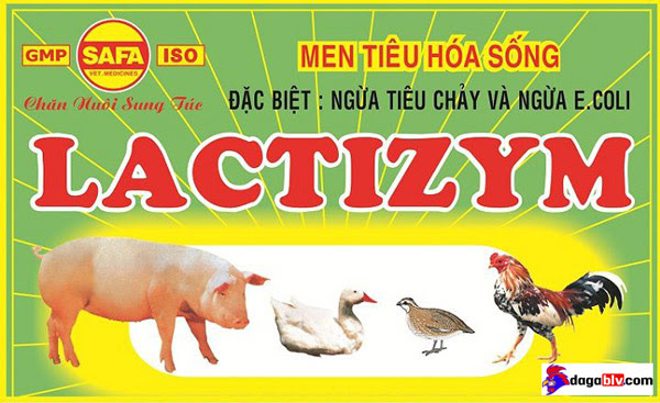 Men tiêu hóa Lactizym đặc trị khó tiêu hóa