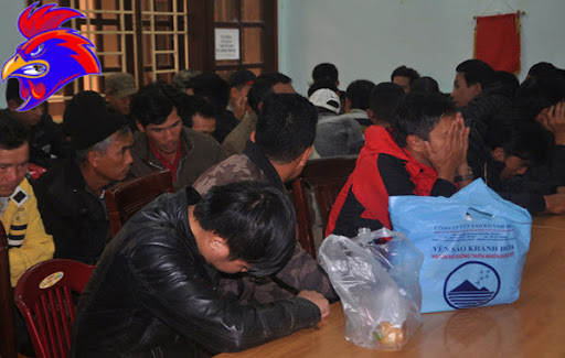 Phá sới gà liên tỉnh, 63 người bị tạm giữ 1 Phá sới gà liên tỉnh, 63 người bị tạm giữ 63 đối tượng bị bắt giữ tại sới gà chiều 31-12 - Ảnh: Q.H