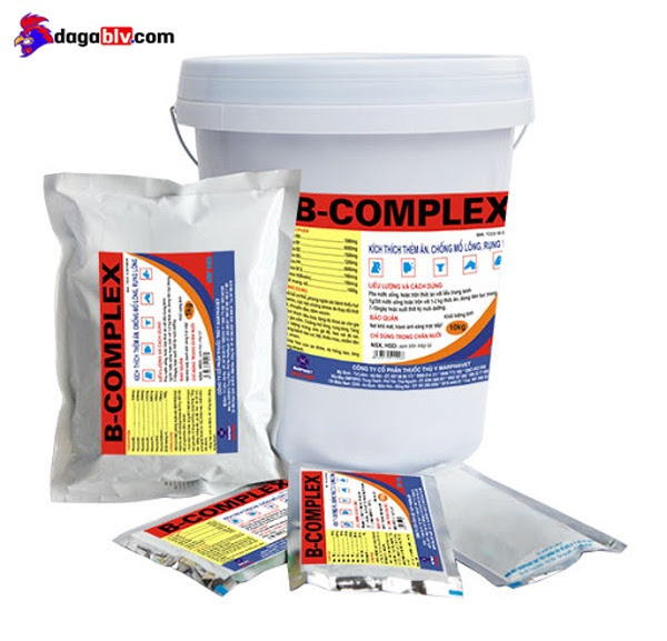 Bổ sung thuốc B Complex vào nước uống cho gà bệnh