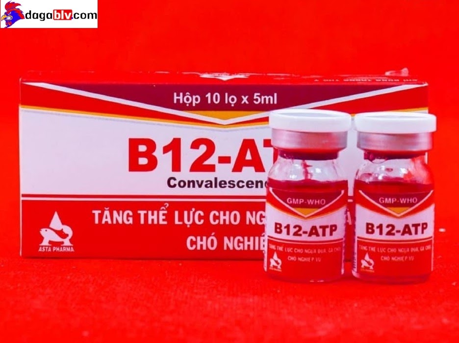 Thuốc tiêm cho gà
