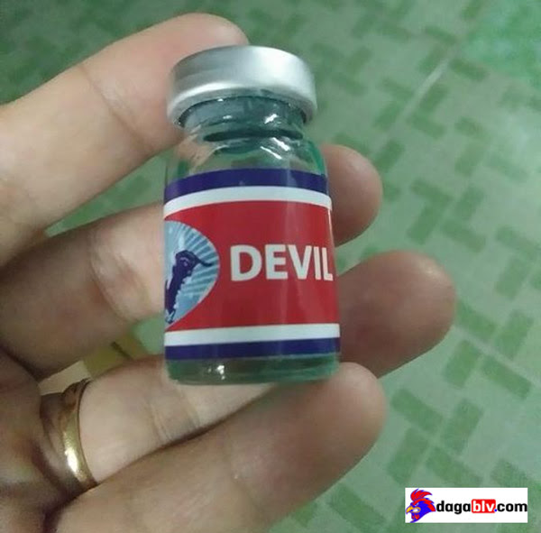 Thuốc cho gà chọi không chạy Devil