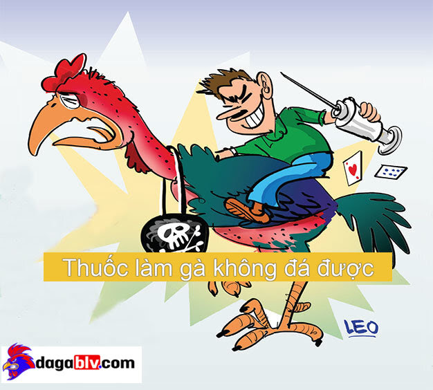 Những Điều Cần Biết Về Thuốc Làm Gà Không Đá Được 1 Những Điều Cần Biết Về Thuốc Làm Gà Không Đá Được Thuốc Làm Gà Không Đá Được