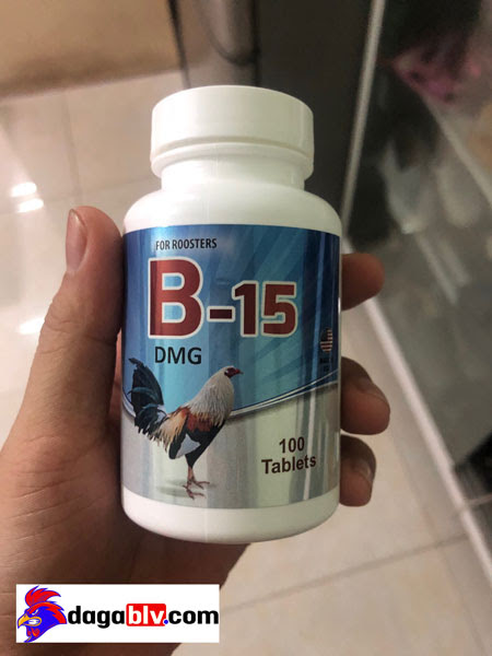 Thuốc gà đá bộ lớn B15