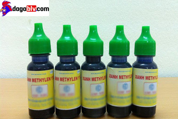Chữa bệnh nấm họng cho gà bằng phương pháp thủ công