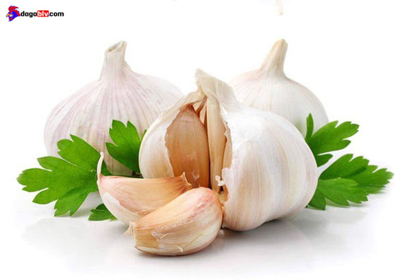 Tỏi chữa bệnh gà bị chướng diều, ăn không tiêu
