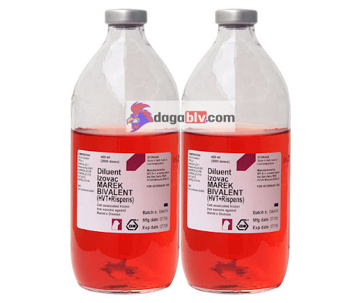 Những Loại Vacxin Cho Gà Con Mới Nở Hiệu Quả Nhất Hiện Nay 8 Những Loại Vacxin Cho Gà Con Mới Nở Hiệu Quả Nhất Hiện Nay Vacxin marek cho gà