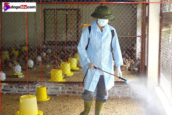 Đảm bảo an toàn vệ sinh sinh học
