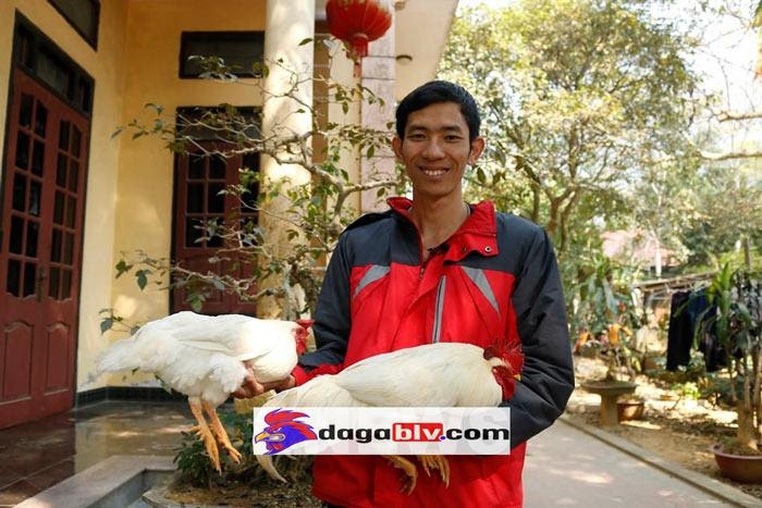 Vlogger nuôi gà chín cựa