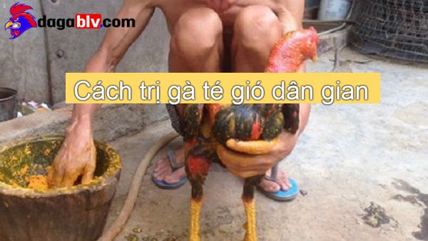 Cách Trị Gà Bị Té Gió - Nguyên Nhân Và Cách Điều Trị 6 Cách Trị Gà Bị Té Gió - Nguyên Nhân Và Cách Điều Trị Cách trị gà té gió dân gian