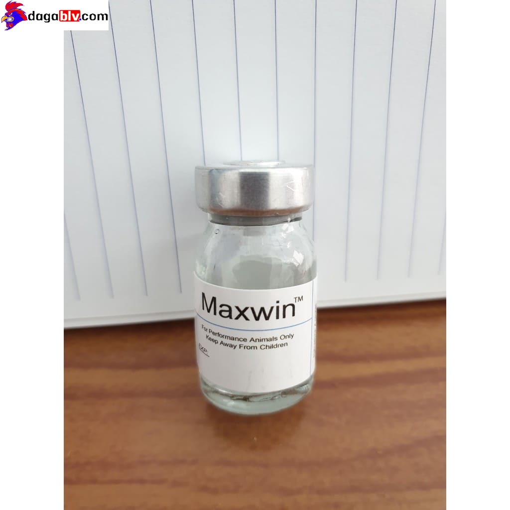 Thuốc chích gà đá Maxwin