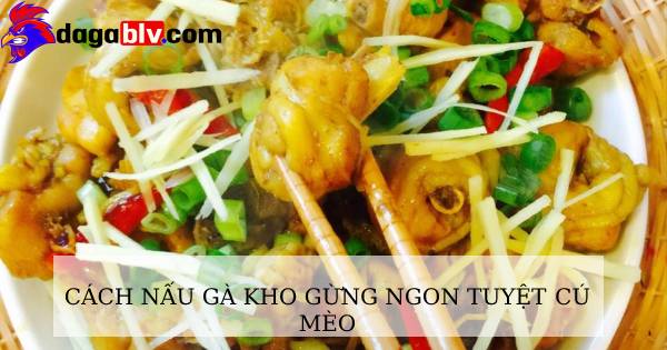 Cách nấu gà kho gừng