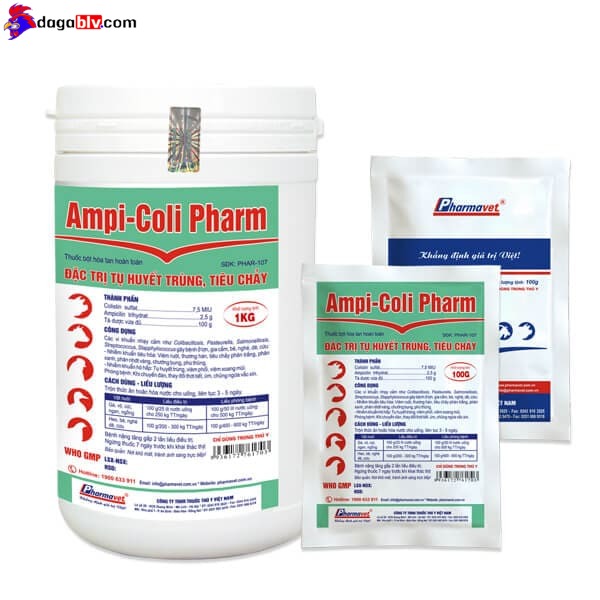 Thuốc đặc trị khò khè cho gà - ampi coli pharm