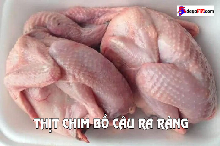 thịt bồ câu bán ở đâu tphcm