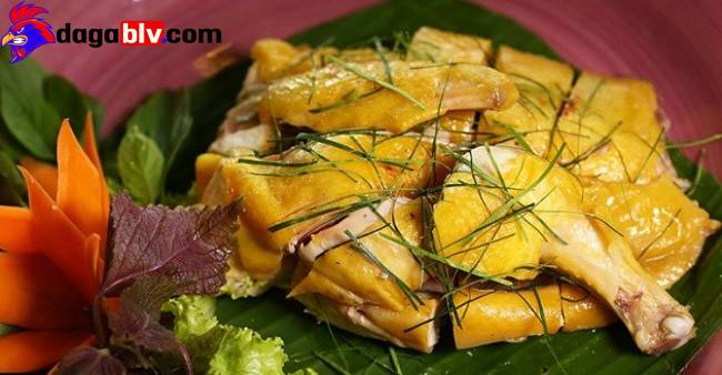 #7 Cách chế biến gà ủ muối ngon hết sẩy để nhắm rượu 1 #7 Cách chế biến gà ủ muối ngon hết sẩy để nhắm rượu Gà Tam Hoàng ủ muối - Gà ủ muối có cần hấp lại không?