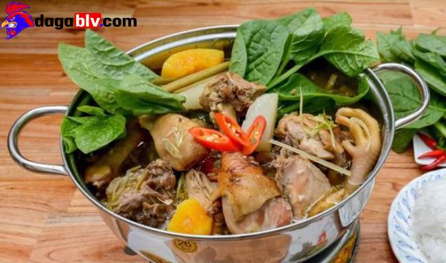 Cách nấu gà giả cầy từ gà Nòi chuẩn vị miền Tây 9 Cách nấu gà giả cầy từ gà Nòi chuẩn vị miền Tây Gà giả cầy kiểu Bắc