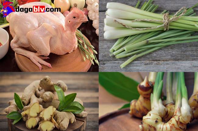Cách nấu gà giả cầy từ gà Nòi chuẩn vị miền Tây 1 Cách nấu gà giả cầy từ gà Nòi chuẩn vị miền Tây Lựa chọn nguyên liệu để nấu món gà giả cầy