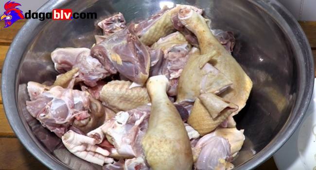 Cách nấu gà giả cầy từ gà Nòi chuẩn vị miền Tây 4 Cách nấu gà giả cầy từ gà Nòi chuẩn vị miền Tây Sơ chế thực phẩm trong nấu gà giả cầy