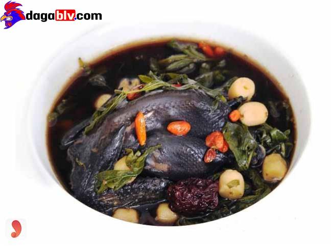 Cách nấu gà tiềm thuốc bắc bồi bổ cho bà bầu 6 Cách nấu gà tiềm thuốc bắc bồi bổ cho bà bầu Sơ chế nguyên liệu Gà tiềm thuốc bắc