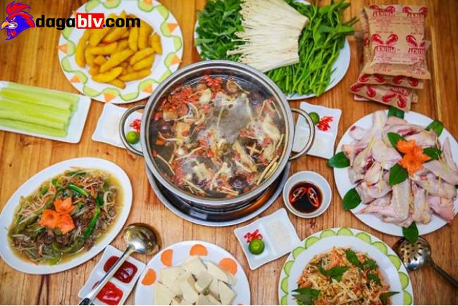 Cách nấu gà tiềm thuốc bắc bồi bổ cho bà bầu 14 Cách nấu gà tiềm thuốc bắc bồi bổ cho bà bầu Lẩu gà tiềm thuốc bắc