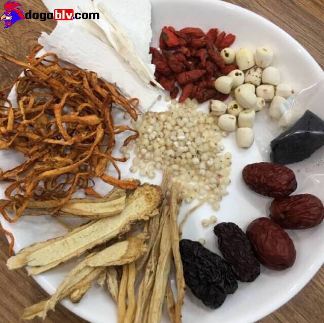 Cách nấu gà tiềm thuốc bắc bồi bổ cho bà bầu 4 Cách nấu gà tiềm thuốc bắc bồi bổ cho bà bầu Gà tiềm thuốc bắc mua nguyên liệu ở đâu?