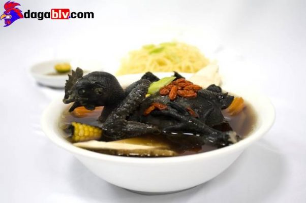 cách nấu gà tiềm thuốc bắc