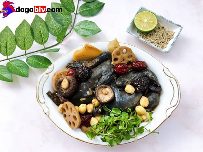 Cách nấu gà tiềm thuốc bắc bồi bổ cho bà bầu 7 Cách nấu gà tiềm thuốc bắc bồi bổ cho bà bầu Cách nấu gà tiềm thuốc bắc cho bà bầu bổ dưỡng