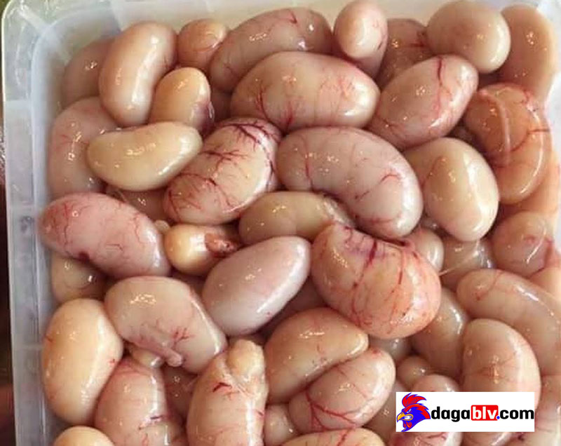 Kê gà có tác dụng gì
