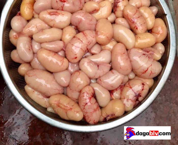 Mua kê gà ở đâu tphcm