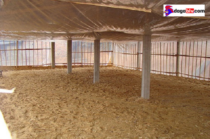 cách làm đệm lót sinh học nuôi gà