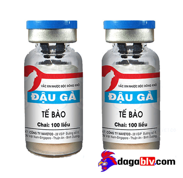 Những Loại Vacxin Đậu Gà Hiệu Quả Cao Được Đánh Giá Tốt Nhất Hiện Nay 1 Những Loại Vacxin Đậu Gà Hiệu Quả Cao Được Đánh Giá Tốt Nhất Hiện Nay vacxin đậu gà Navetco