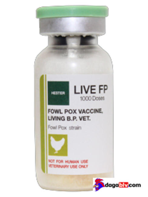 Vacxin đậu gà Living BP Vacxin đậu gà Living BP