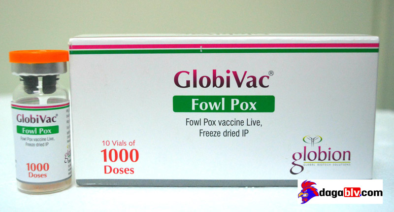 Globivac Fowl Pox Globivac Fowl Pox
