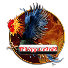 ANROID 1 1